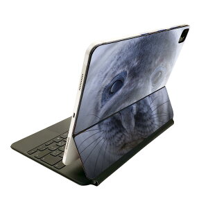 Magic Keyboard p XLV[ 11C` iPad Prop 1-4 iPad Air 4-5 Ή SʃXLV[ t O w یV[ lC 023781 炵@