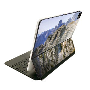Magic Keyboard p XLV[ 11C` iPad Prop 1-4 iPad Air 4-5 Ή SʃXLV[ t O w یV[ lC 023784 R@ʐ^@iF