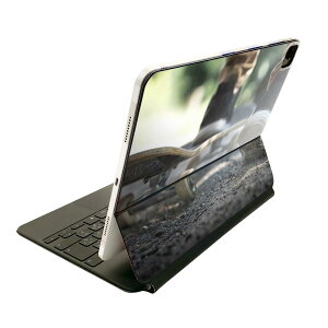 Magic Keyboard p XLV[ 11C` iPad Prop 1-4 iPad Air 4-5 Ή SʃXLV[ t O w یV[ lC 023798 XP{[@ʐ^@Xj[J[
