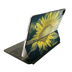 Magic Keyboard p XLV[ 11C` iPad Prop 1-4 iPad Air 4-5 Ή SʃXLV[ t O w یV[ lC 023850 ԁ@t[@Ђ܂