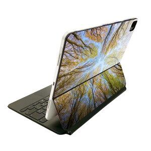 Magic Keyboard p XLV[ 11C` iPad Prop 1-4 iPad Air 4-5 Ή SʃXLV[ t O w یV[ lC 023908 ؁@@R