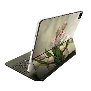 Magic Keyboard �p �X�L���V�[�� 11�C���` iPad Pro�p ��1-4���� iPad Air ��4-5���� �Ή� �S�ʃX�L���V�[�� �t�� �O�� �w�� �ی�V�[�� �l�C 023912 �ԁ@�t�����[�@�`���[���b�v