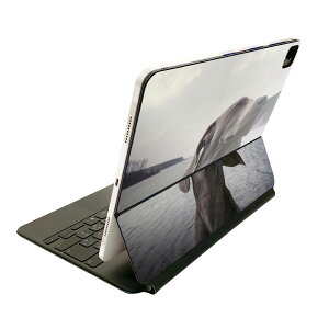 Magic Keyboard p XLV[ 11C` iPad Prop 1-4 iPad Air 4-5 Ή SʃXLV[ t O w یV[ lC 023964 @@ʐ^