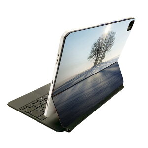 Magic Keyboard p XLV[ 11C` iPad Prop 1-4 iPad Air 4-5 Ή SʃXLV[ t O w یV[ lC 023978 ~@@iF