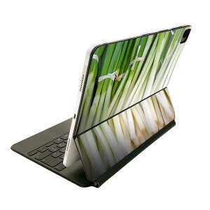 Magic Keyboard 用 スキンシール 11インチ iPad Pro用 第1-4世代 iPad Air 第4-5世代 対応 全面スキンシール フル 前面 背面 保護シール 人気 025602 野菜 ネギ 写真