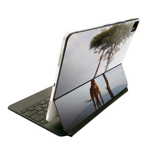 Magic Keyboard p XLV[ 11C` iPad Prop 1-4 iPad Air 4-5 Ή SʃXLV[ t O w یV[ lC 025624 @L@R
