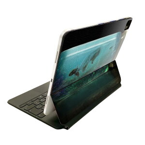 Magic Keyboard p XLV[ 11C` iPad Prop 1-4 iPad Air 4-5 Ή SʃXLV[ t O w یV[ lC 025635 @C@@r