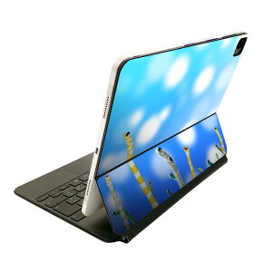 Magic Keyboard p XLV[ 11C` iPad Prop 1-4 iPad Air 4-5 Ή SʃXLV[ t O w یV[ lC 025640 `AiS@C@