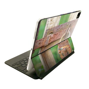 Magic Keyboard p XLV[ 11C` iPad Prop 1-4 iPad Air 4-5 Ή SʃXLV[ t O w یV[ lC 025650 싞@@