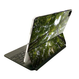 Magic Keyboard 12.9C` iPad Proi4A5A6jΉ apple Abv ACpbh@SʃXLV[ t Oʁ@w یV[ lC 025739 R@Xс@؁@n[g