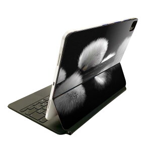 Magic Keyboard p XLV[ 11C` iPad Prop 1-4 iPad Air 4-5 Ή SʃXLV[ t O w یV[ lC 025761 A@R@ԁ@