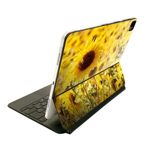 Magic Keyboard 12.9�C���` iPad Pro�i��4����A��5����A��6����j�Ή� apple �A�b�v�� �A�C�p�b�h�@�S�ʃX�L���V�[�� �t�� �O�ʁ@�w�� �ی�V�[�� �l�C 025772 �ԁ@�Ђ܂�蔨�@��