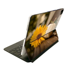 Magic Keyboard p XLV[ 11C` iPad Prop 1-4 iPad Air 4-5 Ή SʃXLV[ t O w یV[ lC 025807 ڂ@H@