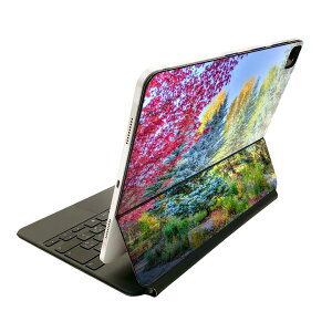Magic Keyboard �p �X�L���V�[�� 11�C���` iPad Pro�p ��1-4���� iPad Air ��4-5���� �Ή� �S�ʃX�L���V�[�� �t�� �O�� �w�� �ی�V�[�� �l�C 025811 �i�F�@�؁@���R