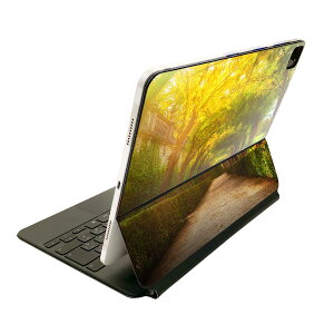 Magic Keyboard p XLV[ 11C` iPad Prop 1-4 iPad Air 4-5 Ή SʃXLV[ t O w یV[ lC 025817 ؁@@z