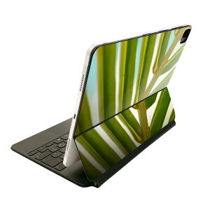 Magic Keyboard 12.9�C���` iPad Pro�i��4����A��5����A��6����j�Ή� apple �A�b�v�� �A�C�p�b�h�@�S�ʃX�L���V�[�� �t�� �O�ʁ@�w�� �ی�V�[�� �l�C 025928 �A���@�t�@�g���s�J��