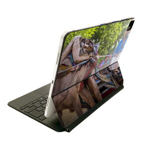 Magic Keyboard 12.9�C���` iPad Pro�i��4����A��5����A��6����j�Ή� apple �A�b�v�� �A�C�p�b�h�@�S�ʃX�L���V�[�� �t�� �O�ʁ@�w�� �ی�V�[�� �l�C 026004 �l���@�n