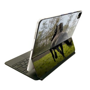 Magic Keyboard 12.9�C���` iPad Pro�i��4����A��5����A��6����j�Ή� apple �A�b�v�� �A�C�p�b�h �S�ʃX�L���V�[�� �t�� �O�� �w�� �ی�V�[�� �l�C �n�@�����@�� 026005