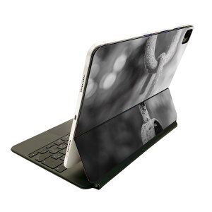 Magic Keyboard p XLV[ 11C` iPad Prop 1-4 iPad Air 4-5 Ή SʃXLV[ t O w یV[ lC 026012 V@mN@ʐ^