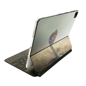 Magic Keyboard 12.9C` iPad Proi4A5A6jΉ apple Abv ACpbh SʃXLV[ t O w یV[ lC ց@wr@঒ށ@Ru 026031