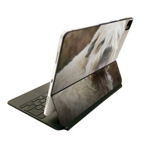 Magic Keyboard p XLV[ 11C` iPad Prop 1-4 iPad Air 4-5 Ή SʃXLV[ t O w یV[ lC 026086 @