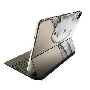 Magic Keyboard 12.9C` iPad Proi4A5A6jΉ apple Abv ACpbh@SʃXLV[ t Oʁ@w یV[ lC 026212 @L@lR