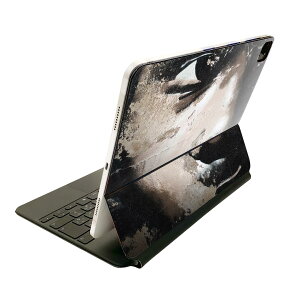 Magic Keyboard p XLV[ 11C` iPad Prop 1-4 iPad Air 4-5 Ή SʃXLV[ t O w یV[ lC 004552 Ol@CXg