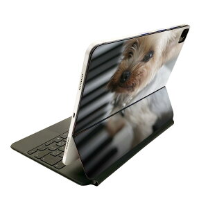 Magic Keyboard 12.9�C���` iPad Pro�i��4����A��5����A��6����j�Ή� apple �A�b�v�� �A�C�p�b�h �S�ʃX�L���V�[�� �t�� �O�� �w�� �ی�V�[�� �l�C ���@�ʐ^�@�s�A�m 004565