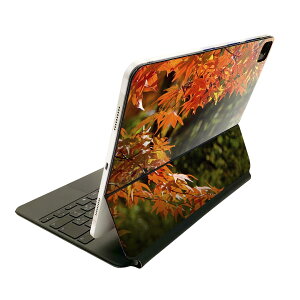 Magic Keyboard 12.9�C���` iPad Pro�i��4����A��5����A��6����j�Ή� apple �A�b�v�� �A�C�p�b�h �S�ʃX�L���V�[�� �t�� �O�� �w�� �ی�V�[�� �l�C �g�t�@�H�@���i 004615