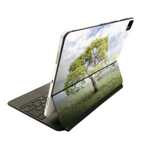 Magic Keyboard p XLV[ 11C` iPad Prop 1-4 iPad Air 4-5 Ή SʃXLV[ t O w یV[ lC 004647 ؁@@ʐ^