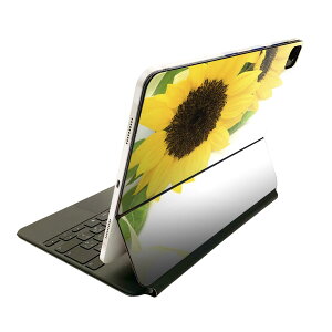 Magic Keyboard p XLV[ 11C` iPad Prop 1-4 iPad Air 4-5 Ή SʃXLV[ t O w یV[ lC 005164 Ђ܂@ʐ^@Vv