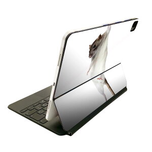 Magic Keyboard p XLV[ 11C` iPad Prop 1-4 iPad Air 4-5 Ή SʃXLV[ t O w یV[ lC 005911 Aj} ʐ^@@˂