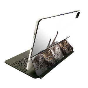 Magic Keyboard �p �X�L���V�[�� 11�C���` iPad Pro�p ��1-4���� iPad Air ��4-5���� �Ή� �S�ʃX�L���V�[�� �t�� �O�� �w�� �ی�V�[�� �l�C 005928 �A�j�}�� �ʐ^�@�����@�L�@�˂�