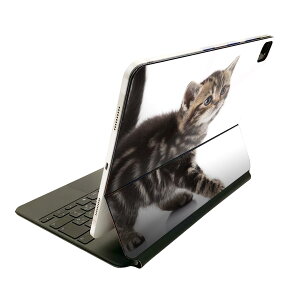 Magic Keyboard 12.9�C���` iPad Pro�i��4����A��5����A��6����j�Ή� apple �A�b�v�� �A�C�p�b�h �S�ʃX�L���V�[�� �t�� �O�� �w�� �ی�V�[�� �l�C �ʐ^�@�����@�L�@�˂� 005930