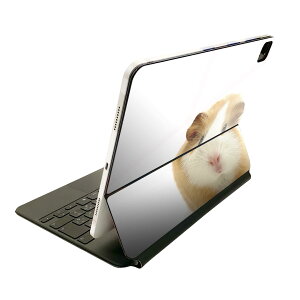 Magic Keyboard 12.9C` iPad Proi4A5A6jΉ apple Abv ACpbh SʃXLV[ t O w یV[ lC ʐ^@@nX^[ 006036