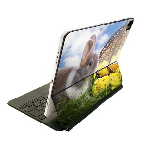 Magic Keyboard 12.9C` iPad Proi4A5A6jΉ apple Abv ACpbh SʃXLV[ t O w یV[ lC ʐ^@@ 006581