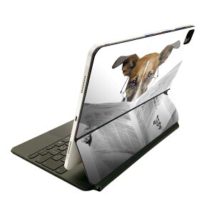 Magic Keyboard p XLV[ 11C` iPad Prop 1-4 iPad Air 4-5 Ή SʃXLV[ t O w یV[ lC 007706 ʐ^@@ʁ@V