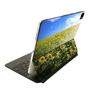 Magic Keyboard p XLV[ 11C` iPad Prop 1-4 iPad Air 4-5 Ή SʃXLV[ t O w یV[ lC 007936 ʐ^@ԁ@@@Ђ܂