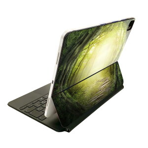 Magic Keyboard �p �X�L���V�[�� 11�C���` iPad Pro�p ��1-4���� iPad Air ��4-5���� �Ή� �S�ʃX�L���V�[�� �t�� �O�� �w�� �ی�V�[�� �l�C 007948 �X�@���i�@�C���X�g�@�΁@�O���[���@�A��