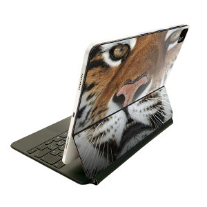 Magic Keyboard 12.9C` iPad Proi4A5A6jΉ apple Abv ACpbh SʃXLV[ t O w یV[ lC ʐ^@g@Ձ@ 008090