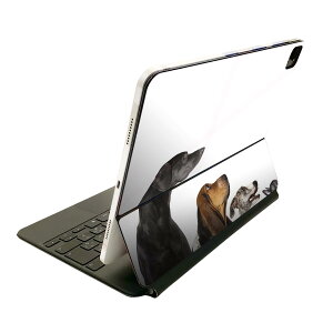 Magic Keyboard 12.9�C���` iPad Pro�i��4����A��5����A��6����j�Ή� apple �A�b�v�� �A�C�p�b�h�@�S�ʃX�L���V�[�� �t�� �O�ʁ@�w�� �ی�V�[�� �l�C 008190 �ʐ^�@���@���ʁ@���@�z���C�g