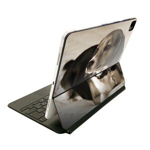 Magic Keyboard 12.9C` iPad Proi4A5A6jΉ apple Abv ACpbh SʃXLV[ t O w یV[ lC ʐ^@ZsA@ 008194