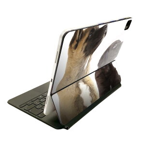 Magic Keyboard 12.9�C���` iPad Pro�i��4����A��5����A��6����j�Ή� apple �A�b�v�� �A�C�p�b�h �S�ʃX�L���V�[�� �t�� �O�� �w�� �ی�V�[�� �l�C �ʐ^�@���@�L 008364