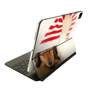 Magic Keyboard p XLV[ 11C` iPad Prop 1-4 iPad Air 4-5 Ή SʃXLV[ t O w یV[ lC 008439 ʐ^@@Xq@ԁ@bh
