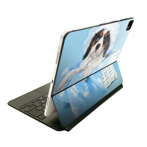 Magic Keyboard �p �X�L���V�[�� 11�C���` iPad Pro�p ��1-4���� iPad Air ��4-5���� �Ή� �S�ʃX�L���V�[�� �t�� �O�� �w�� �ی�V�[�� �l�C 008499 �ʐ^�@���F�@�@�u���[�@��