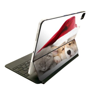 Magic Keyboard p XLV[ 11C` iPad Prop 1-4 iPad Air 4-5 Ή SʃXLV[ t O w یV[ lC 008645 Aj} @L@Xq@ʐ^