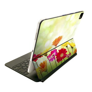 Magic Keyboard 12.9�C���` iPad Pro�i��4����A��5����A��6����j�Ή� apple �A�b�v�� �A�C�p�b�h �S�ʃX�L���V�[�� �t�� �O�� �w�� �ی�V�[�� �l�C �J���t���@�ʐ^�@�ԁ@ 008881