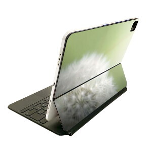 Magic Keyboard 12.9C` iPad Proi4A5A6jΉ apple Abv ACpbh@SʃXLV[ t Oʁ@w یV[ lC 008884 ʐ^@ۂہ@