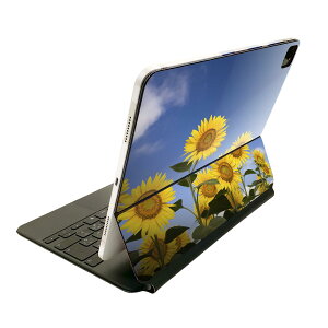 Magic Keyboard p XLV[ 11C` iPad Prop 1-4 iPad Air 4-5 Ή SʃXLV[ t O w یV[ lC 009265 @Ђ܂@ʐ^