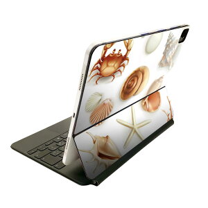 Magic Keyboard 用 スキンシール 11インチ iPad Pro用 第1-4世代 iPad Air 第4-5世代 対応 全面スキンシール フル 前面 背面 保護シール 人気 009662 貝殻 海 砂浜